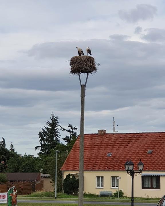 Blockhaus Boldekow